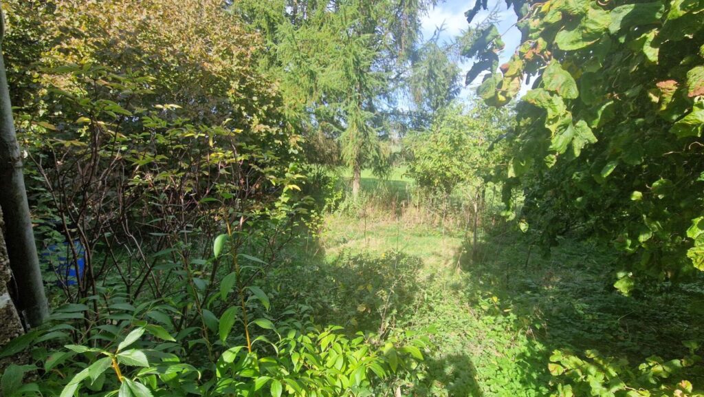 Blick in den Garen