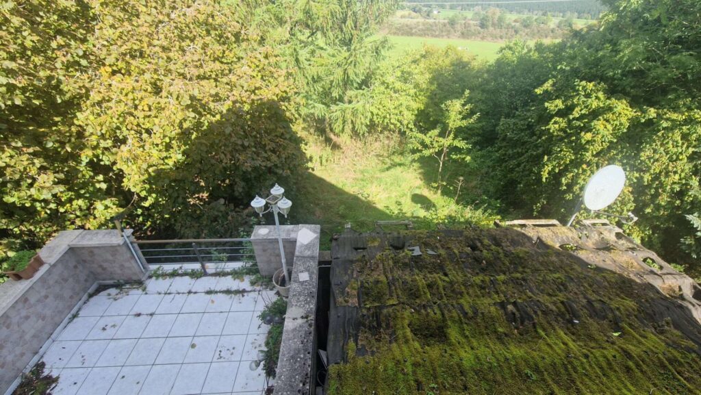 Ausblick Garten